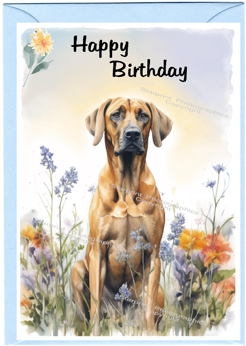Rhodesian Ridgeback Birthday Rhodesian Ridgeback Dog