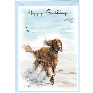"Geburtstagskarte ""Happy Birthday"" Irish Setter Hund mit Umschlag." Leer innen für Ihre eigene Nachricht. Perfekt für jeden Hundefreund