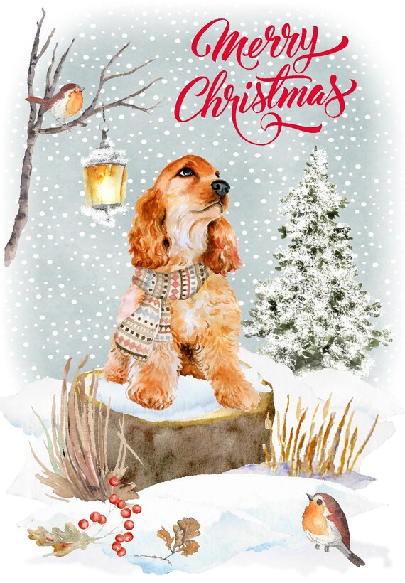 Biglietto D'Auguri Cocker Spaniel Nel Neve Con Busta Kraft - 12,5x12,5 Cm, Interno Bianco, Illustrazione Londinese