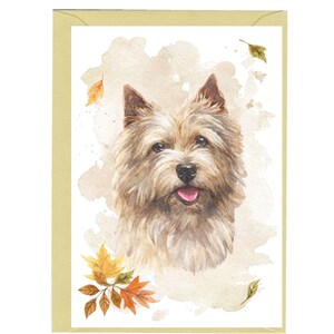 Biglietto vuoto/notelet per cani Norwich Terrier (6" x 4") con busta. Articolo perfetto per ogni amante dei cani