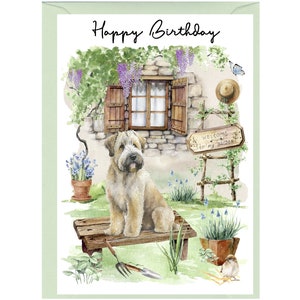 Biglietto &quot;Happy Birthday&quot; per cane Soft Coated Wheaten Terrier (6&quot;x4&quot;) con busta. Interno vuoto per il tuo messaggio. Perfetto per qualsiasi amante dei cani