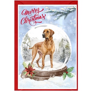 Carte de Noël Rhodesian Ridgeback Dog (6 x 4 po.) vierge à l'intérieur - avec enveloppe. Article parfait pour tous les amoureux des chiens