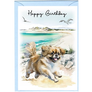 Cartão de "Feliz Aniversário" para Cão Spaniel Tibetano (6" x 4") com Envelope. Anule o interior para sua própria mensagem. Perfeito para qualquer amante de cães