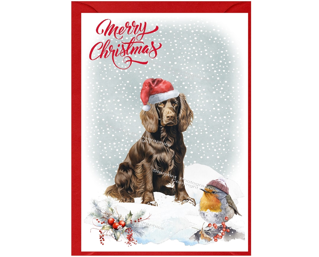 Cocker Spaniel Working Brown Dog Christmas Card (6" X 4") Blank Inside ...
