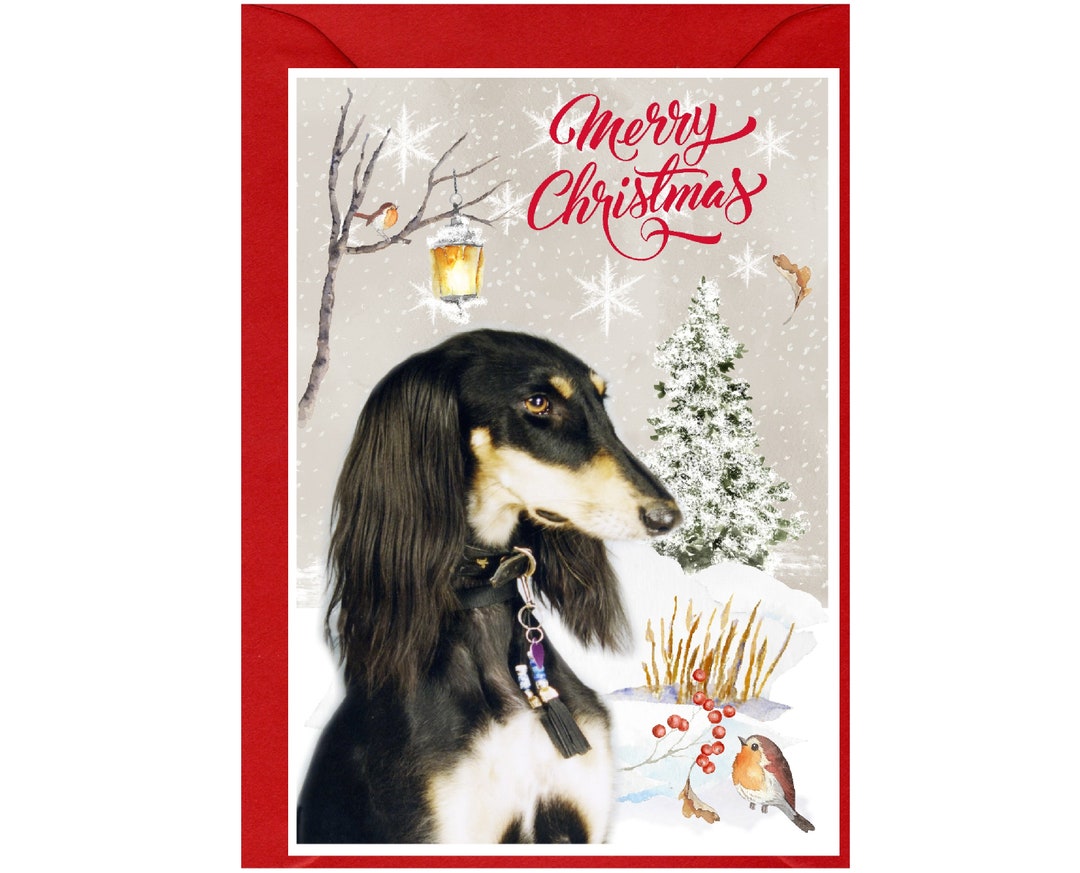 Saluki Dog Christmas Card (6" X 4") Blank Inside - With Envelope ...