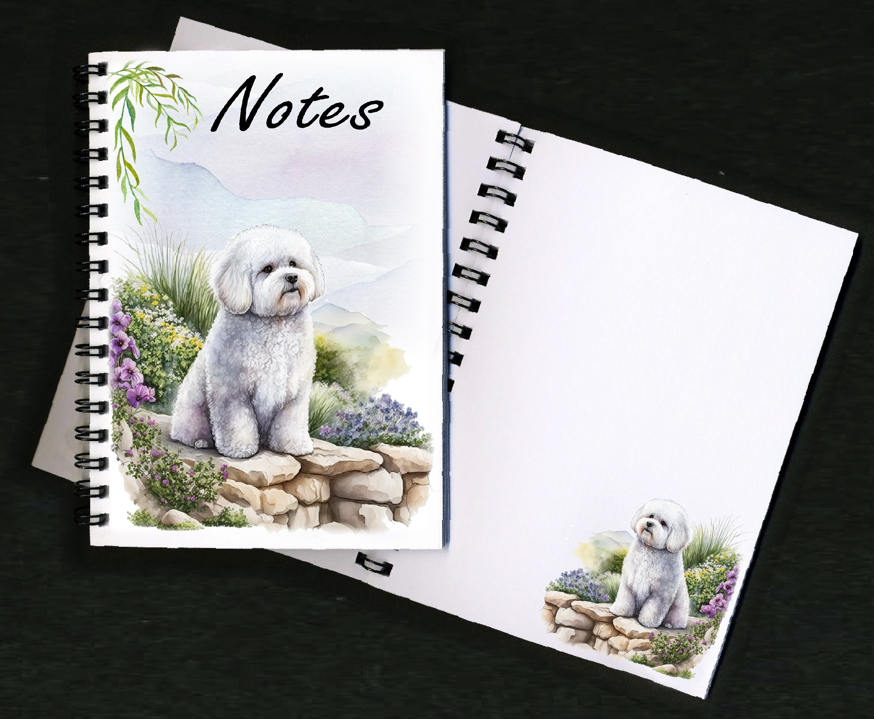 Gracious bichons hotsell