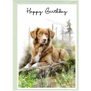 Nova Scotia Duck Tolling Retriever Dog / Toller &quot;Happy Birthday&quot; Card (6&quot;x 4&quot;) with Envelope. Blank inside for your own message.