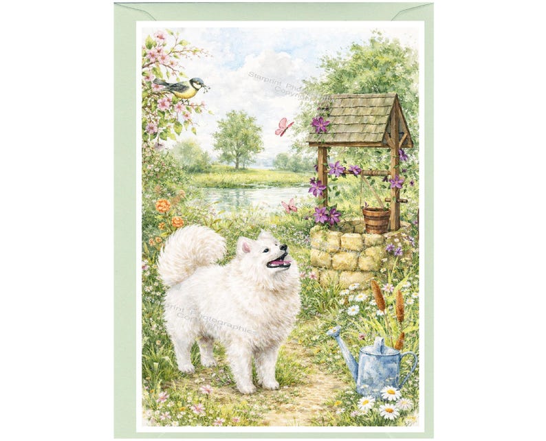 Samoyed Dog Blank Card /notelet (6" X 4") With Envelope - Ideal Mothers ...