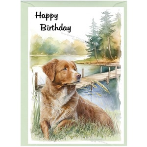 Nova Scotia Duck Tolling Retriever Dog / Toller &quot;Happy Birthday&quot; Card (6&quot;x 4&quot;) with Envelope. Blank inside for your own message.
