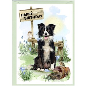Cartão de "feliz aniversario" do cão border collie (6" x 4") com envelope - anule o interior para sua própria mensagem. Perfeito para qualquer amante de cães