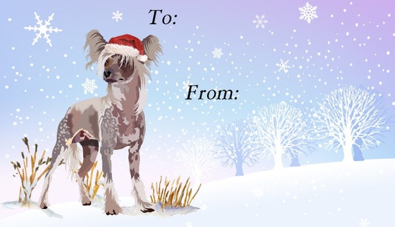 Chinese crested best sale gifts