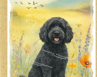 Biglietto D'Auguri Per Amante Dei Cani – To My Lovely Human – Cockapoo Nero – 148x144 Mm – Con Busta - 2