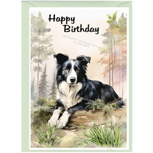 Carte « Joyeux anniversaire » chien border collie (6 x 4 po.) avec enveloppe - vierge à l'intérieur pour votre propre message. Parfait pour tous les amoureux des chiens