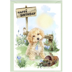 Maltipoo / Doodle Hund ""Happy Birthday"" Karte (6 "x 4"") mit Umschlag - Leer für Ihre eigene Nachricht."
