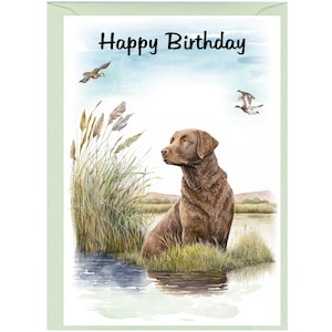 Carte « Joyeux anniversaire » pour chien Retriever de la baie de Chesapeake (6 x 4 po.) avec enveloppe - Vierge à l'intérieur pour votre propre message. Parfait pour tous les amoureux des chiens
