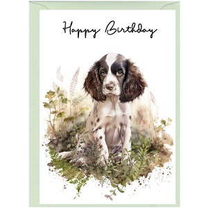 Tarjeta "Feliz cumpleaños" del perro Springer Spaniel inglés (6"x 4") con sobre. Espacio en blanco dentro para tu propio mensaje. Perfecto para cualquier amante de los perros.
