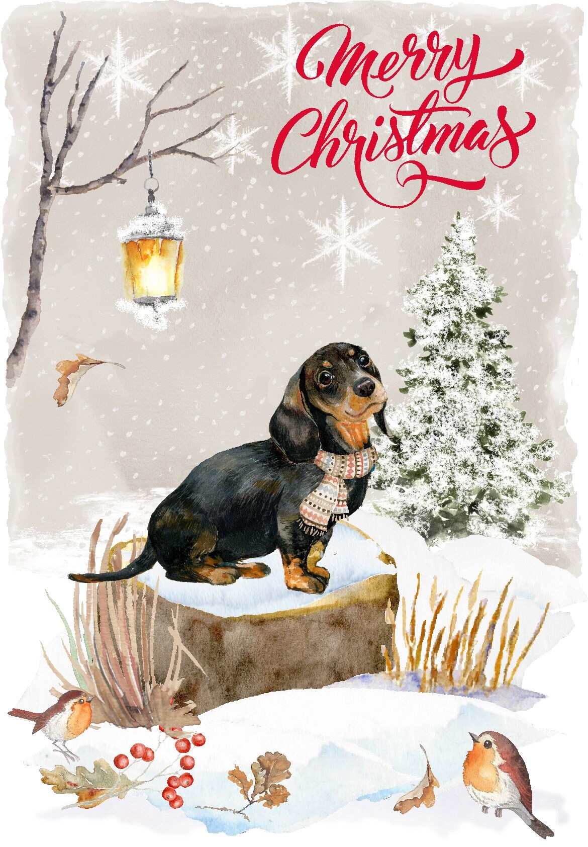 Central 23 Carta Regalo Natale E Compleanno - 6 Fogli 70x50cm - Design Bassotto Con Stella - Riciclabile