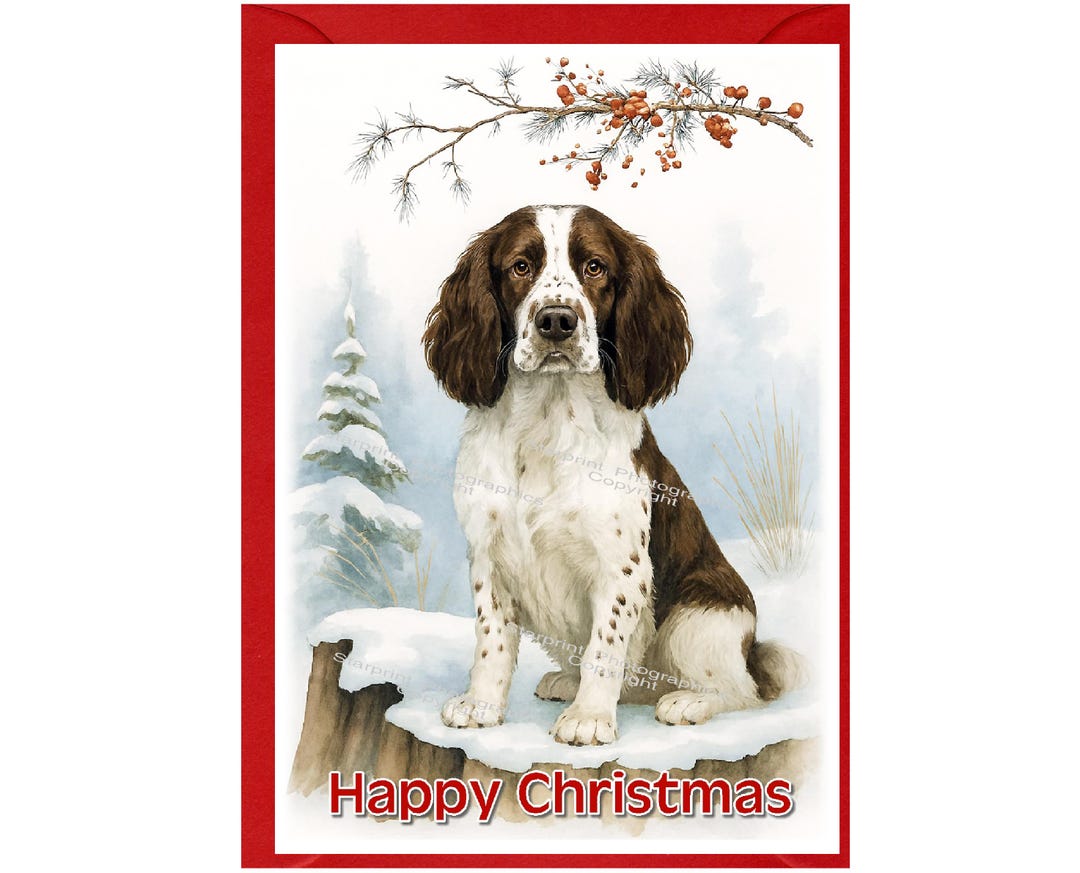 English Springer Spaniel Dog Christmas Card (6" X 4") Blank Inside ...