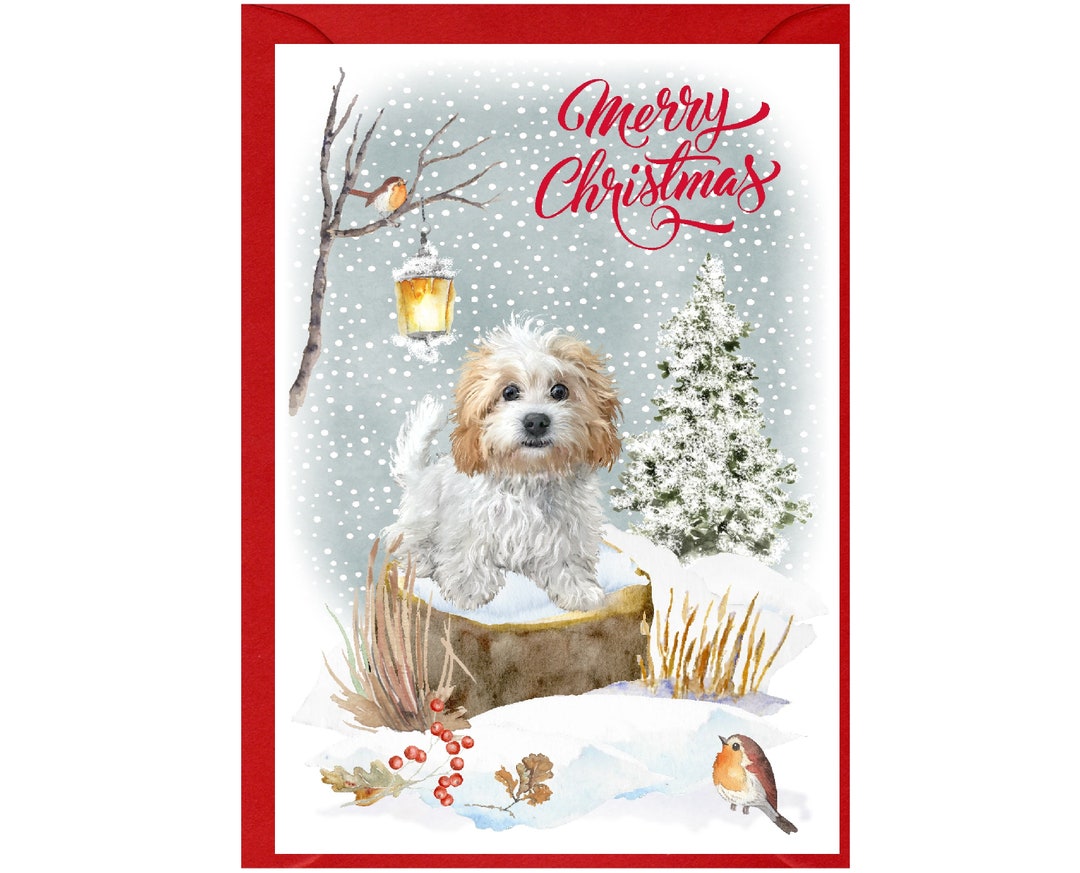 Maltipoo / Mixed Breed Dog Christmas Card (6" X 4") With Envelope ...