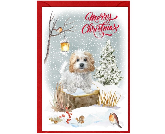 マルチーズ/ミックス犬用クリスマスカード（6インチ×4インチ）封筒付き