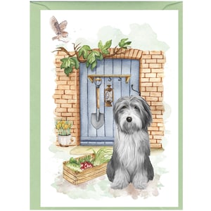 Gepersonaliseerde Bearded Collie Dog-wenskaart (6" x 4") met envelop - ideaal voor elke gelegenheid.  Kan desgewenst leeg worden gelaten