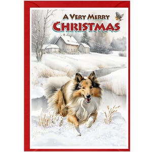 Weihnachtskarte mit Collie Hund - 15 x 10 cm Innen leer - mit Umschlag Perfekter Artikel für jeden Hundeliebhaber