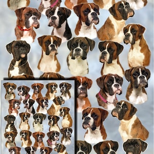 Carta da regalo a forma di cane Boxer con biglietto regalo abbinato