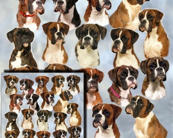 Boxer Dog Gift Wrapping Paper with matching Gift Card