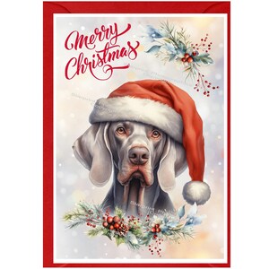 Carte de Noël pour chien Braque de Weimar (6 x 4 po.) vierge à l'intérieur - avec enveloppe.  Article parfait pour tous les amoureux des chiens
