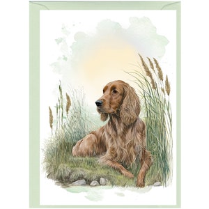 Biglietto d'auguri/biglietto di auguri personalizzato per Setter Irlandese (15x10 cm) con busta. Può essere lasciato vuoto se si preferisce.