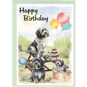Carte « Joyeux anniversaire » chien terrier tibétain (6 x 4 po.) avec enveloppe. Blanc à l'intérieur pour votre propre message. Parfait pour tous les amoureux des chiens