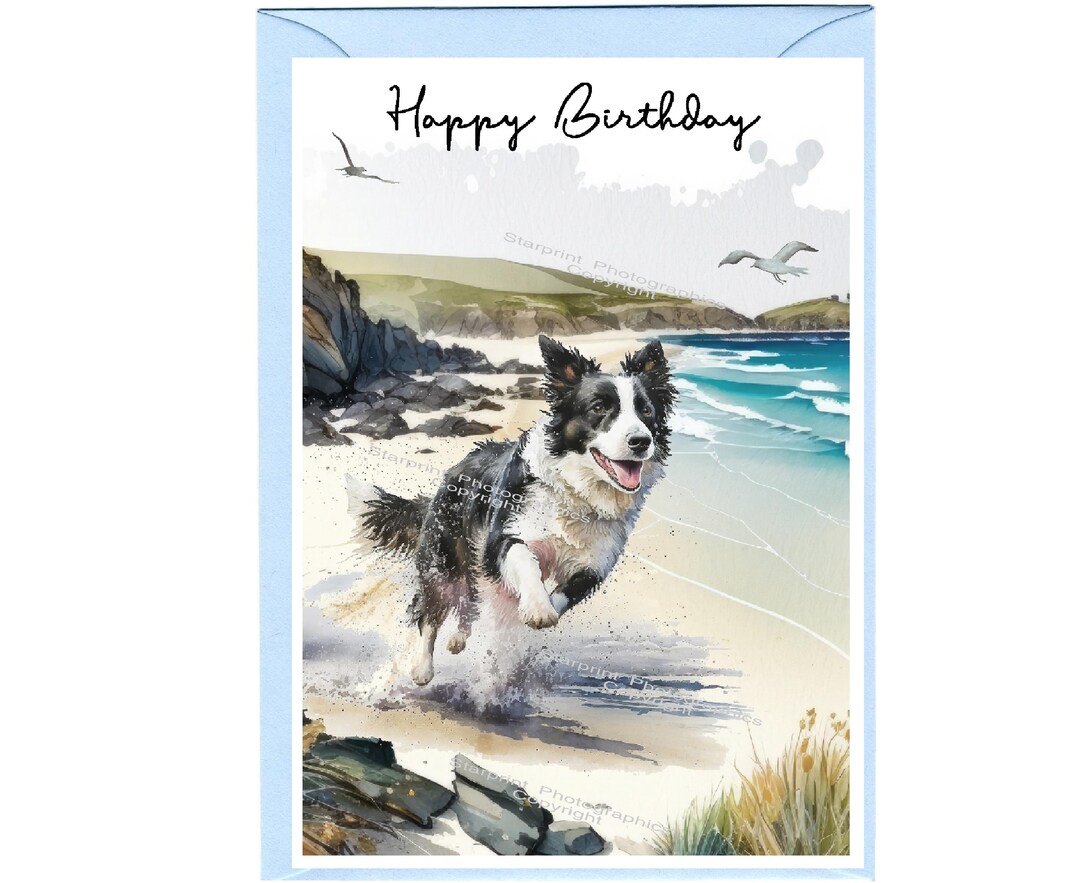 Border Collie Dog "happy Birthday" Card With Envelope - Blank Inside ...