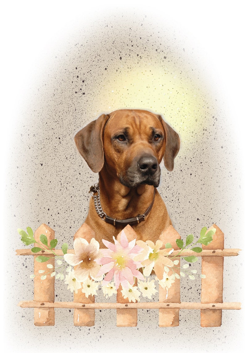 Rhodesian Ridgeback Dog Blank Card /Notelet 6x4 | Etsy