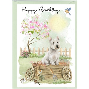 West Highland White Terrier "Happy Birthday"-kaart (6" x 4") met envelop - blanco binnenkant voor je eigen bericht. Perfect voor elke hondenliefhebber