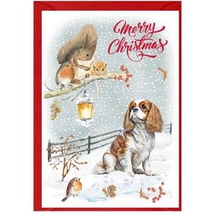 Tarjeta navideña con un Cavalier King Charles Spaniel (color Blenheim) (15,24 x 10,16 cm) en blanco por dentro y con sobre. Artículo perfecto para cualquier amante de los perros