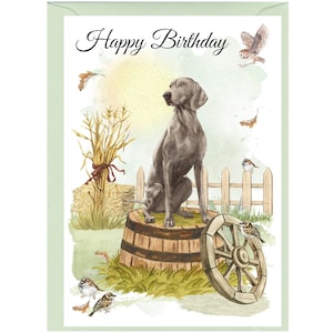 Biglietto "Happy Birthday" cane Weimaraner (6" x 4") con busta - Interno vuoto per il tuo messaggio. Perfetto per ogni amante dei cani.