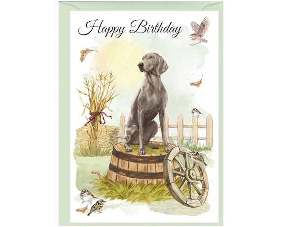 Weimaraner Dog happy Birthday Card 6 X 4 With Envelope Blank
