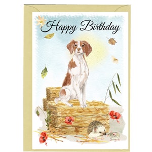 Brittany Dog "Happy Birthday" Card (6"x4") con busta. Interno vuoto per il tuo messaggio. Perfetto per qualsiasi amante dei cani