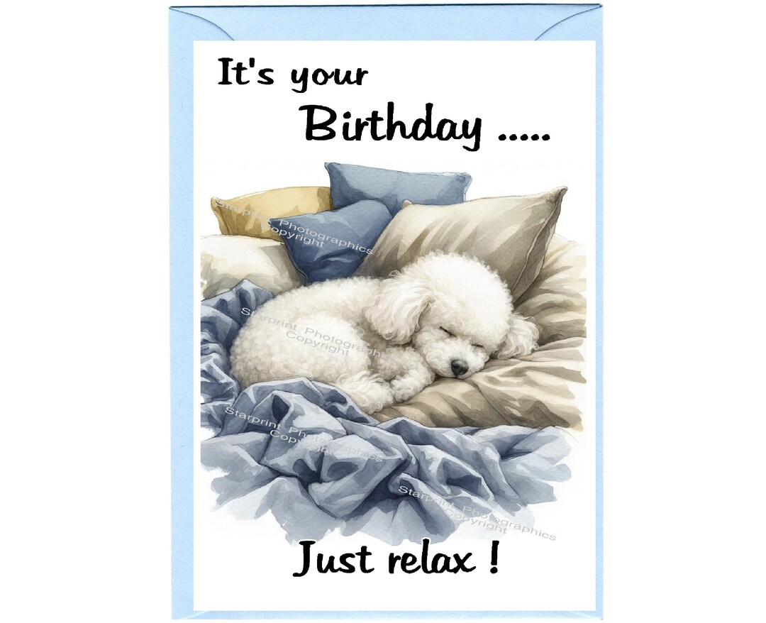 Poodle White Dog Birthday Card (6"x 4") With Envelope. Blank Inside for ...