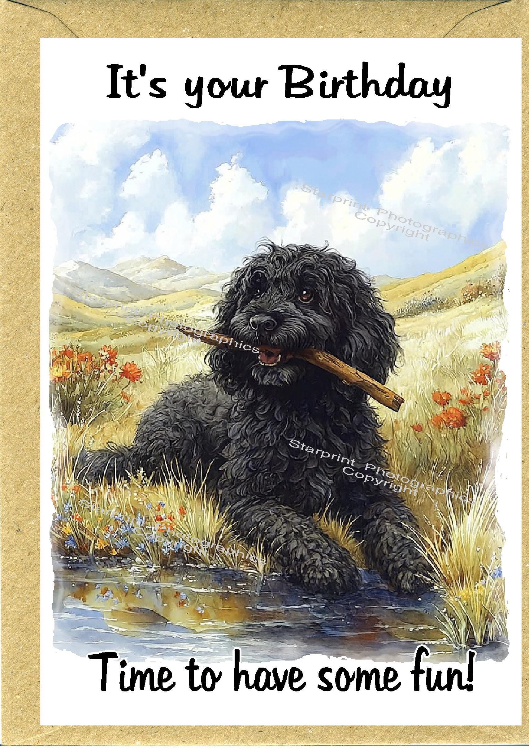 Cavapoo / Doodle Dog Birthday Card (6" X 4") With Envelope - Blank ...