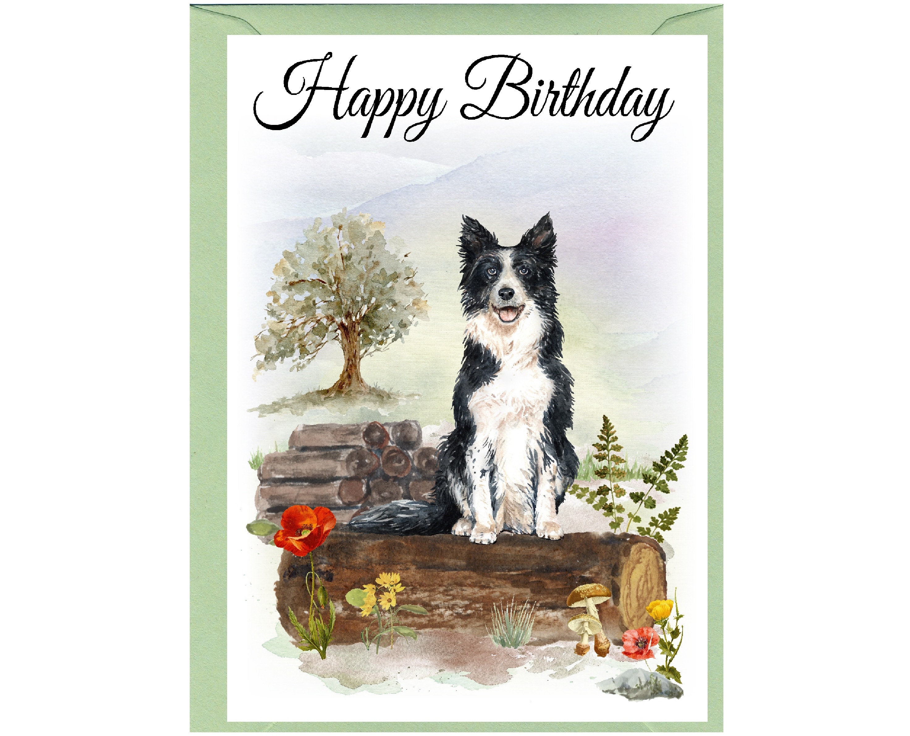 Biglietto di auguri di compleanno Border Collie, con busta, 145 x 145 mm