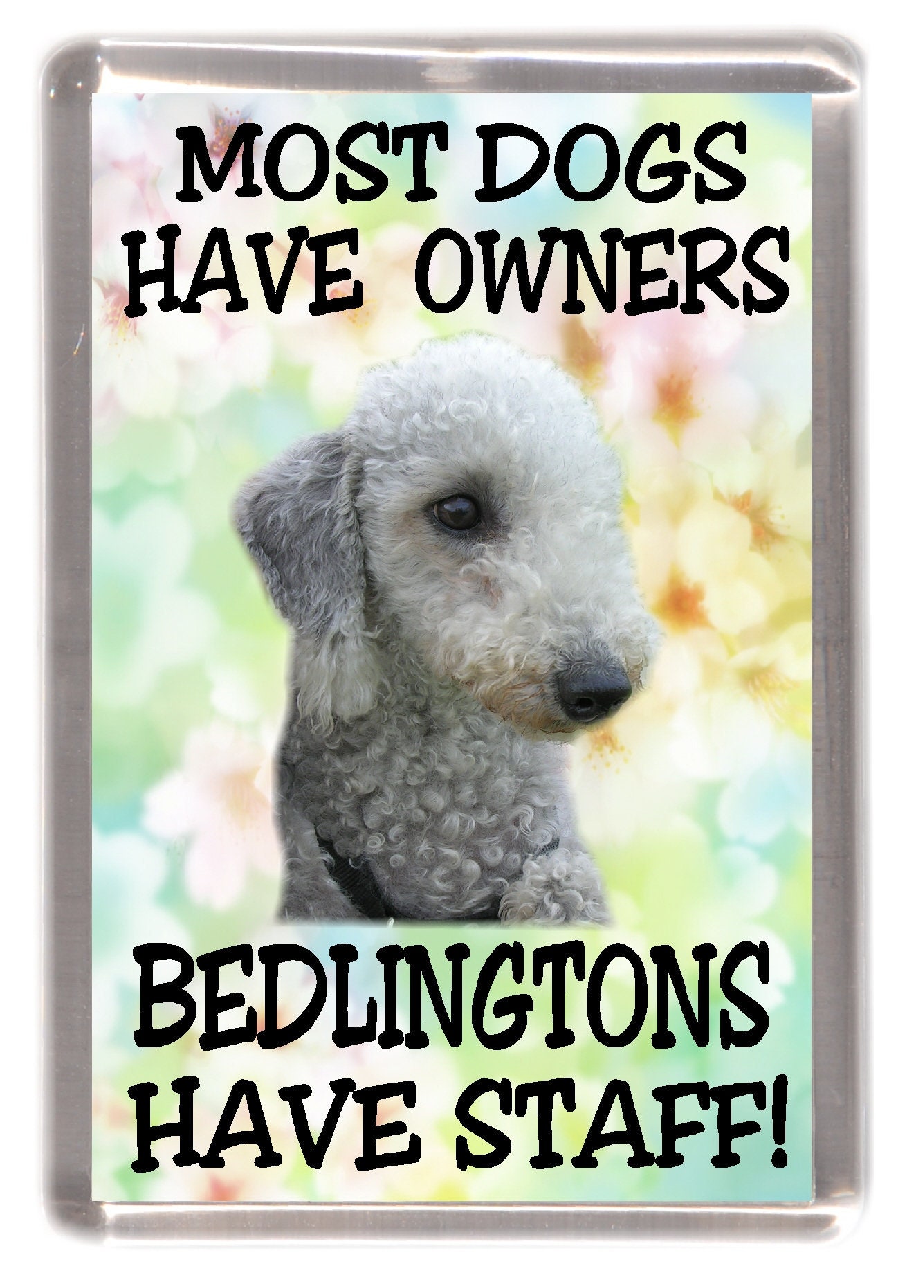 Bedlington Terrier Dog Fridge Magnet - Most Dogs Have Owners Bedlingtons Have Staff. Great Gift for any Dog Lover