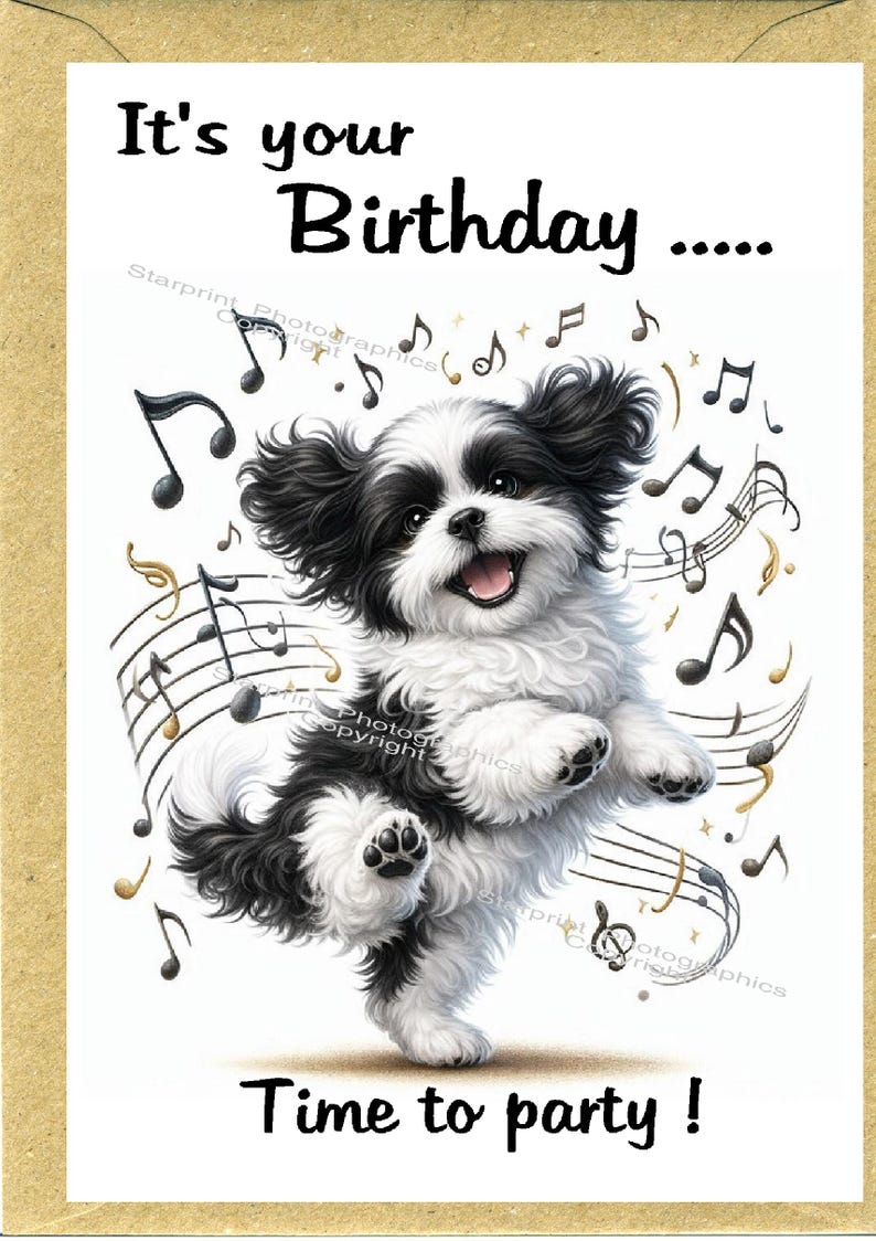 Shih Tzu Dog Birthday Card (6