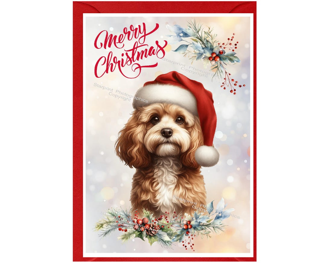 Doodle / Cavapoo / Cockapoo Dog Christmas Card (6" X 4") Blank Inside ...