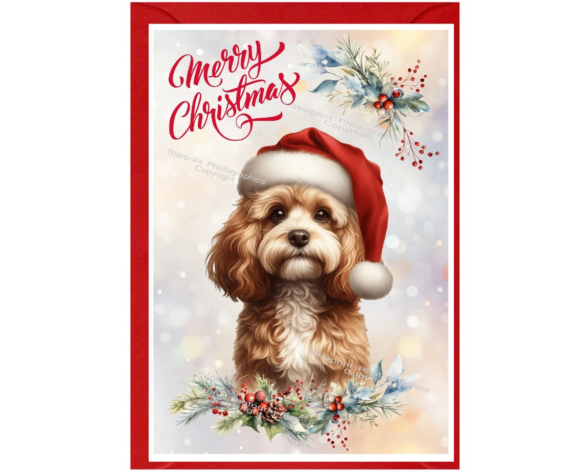Doodle / Cavapoo / Cockapoo Dog Christmas Card (6" X 4") Blank Inside ...