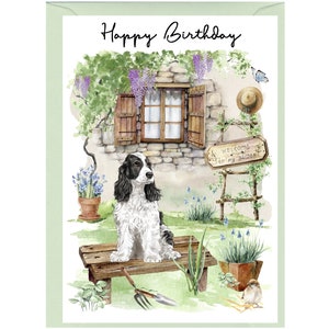 Carte « Joyeux anniversaire » chien cocker spaniel noir et blanc (6 x 4 po.) avec enveloppe - vierge à l'intérieur. Parfait pour tous les amoureux des chiens.