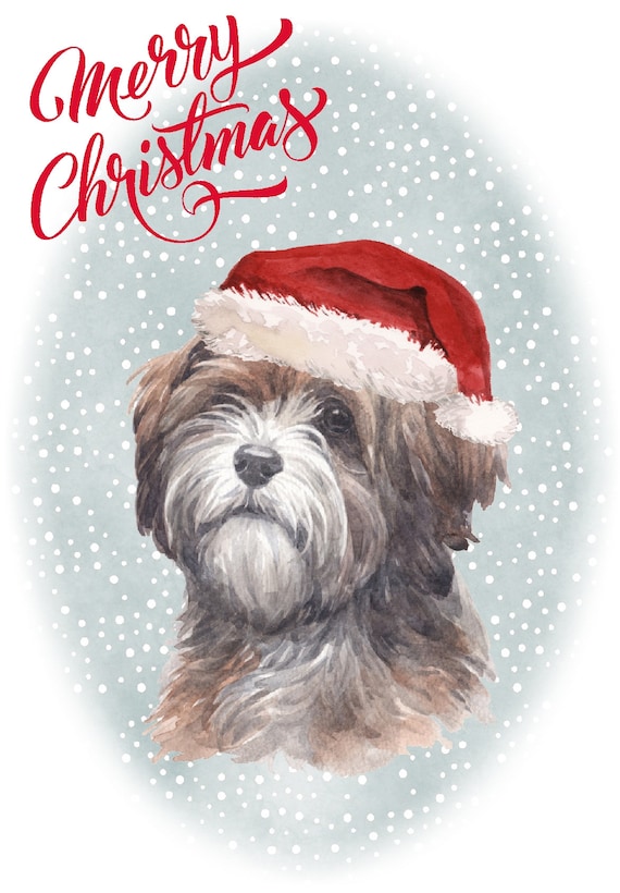 Tibetan Terrier Christmas Cards Pack of 6