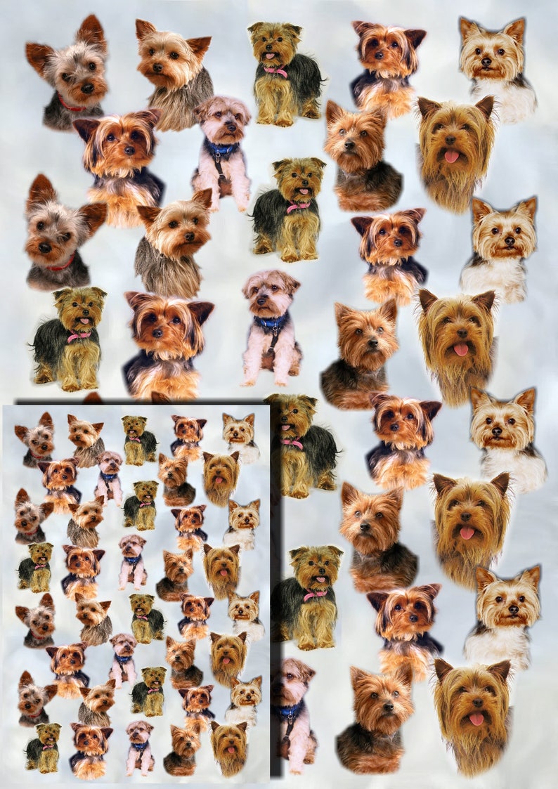 Yorkshire Terrier Yorkie Dog Gift Wrapping Paper With Etsy