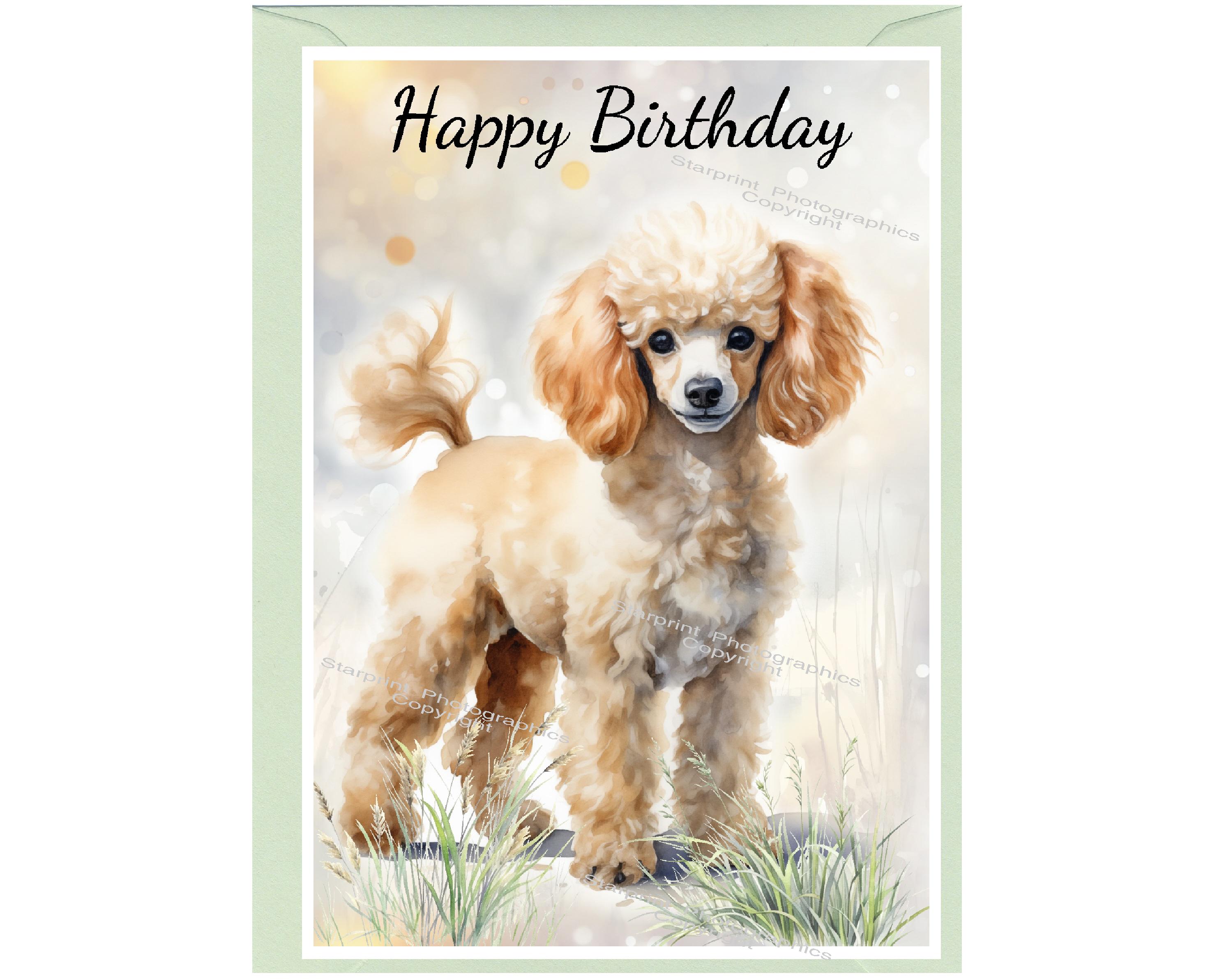 Old English Co. - Biglietto Di Auguri Per Il Compleanno Di Un Gatto A
