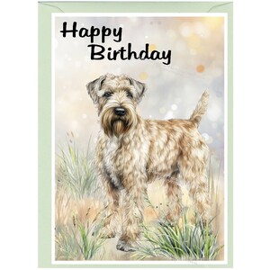 Biglietto &quot;Happy Birthday&quot; per cane Soft Coated Wheaten Terrier (6&quot;x4&quot;) con busta. Interno vuoto per il tuo messaggio. Perfetto per qualsiasi amante dei cani